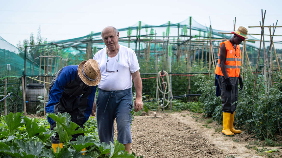 gardening_7